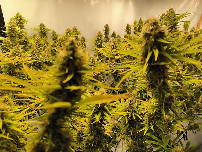 Growreport Bild 21