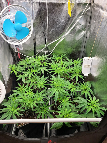 Growreport Bild 19