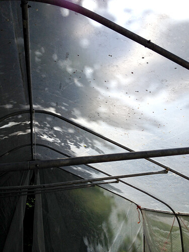 Growreport Bild 2
