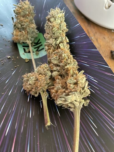 Growreport Bild 1