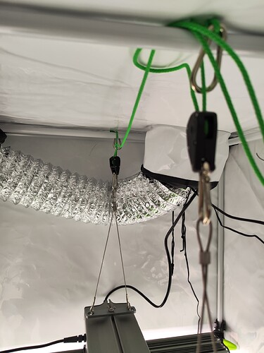 Growreport Bild 11
