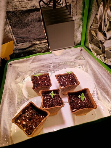 Growreport Bild 10