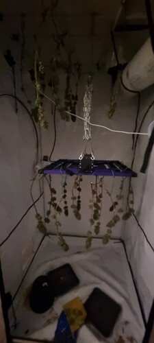 Growreport Bild 15