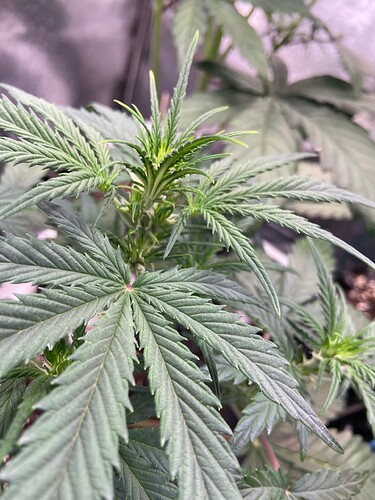 Growreport Bild 6