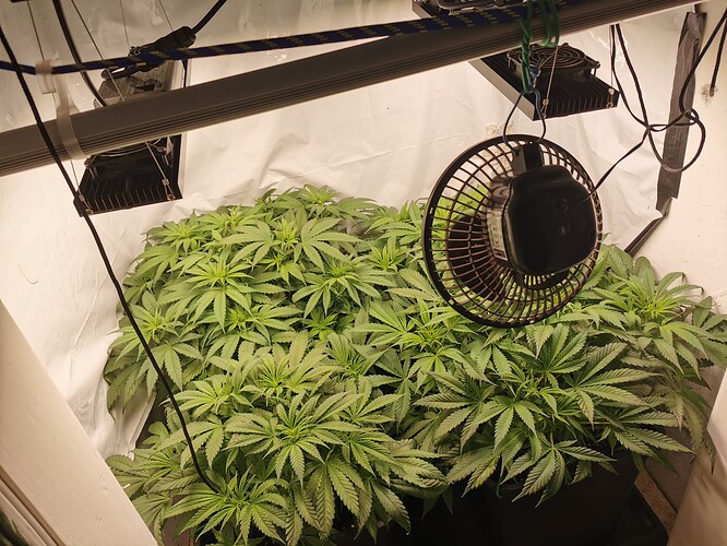 Growreport Bild 1