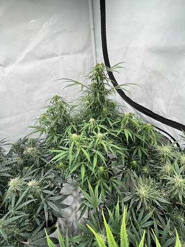 Growreport Bild 10
