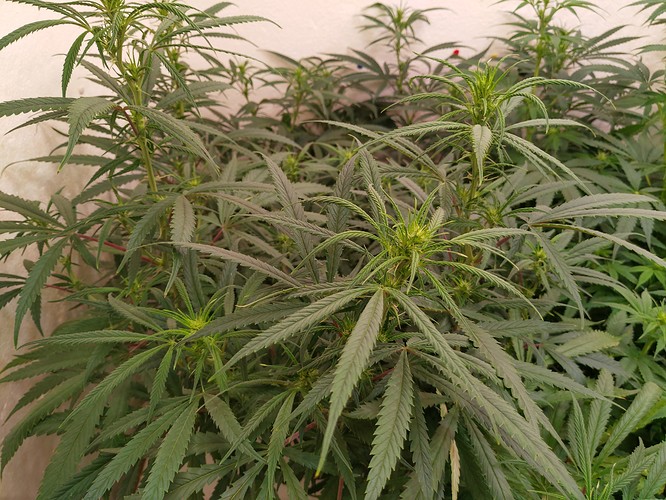 Growreport Bild 10