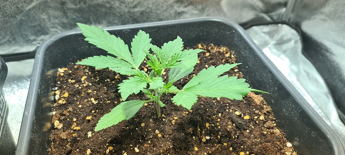 Growreport Bild 18