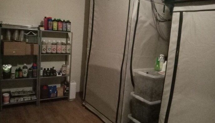 Growreport Bild 44