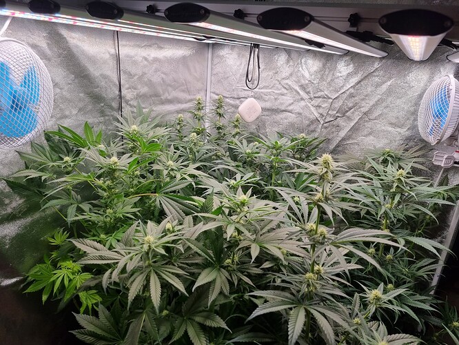 Growreport Bild 24