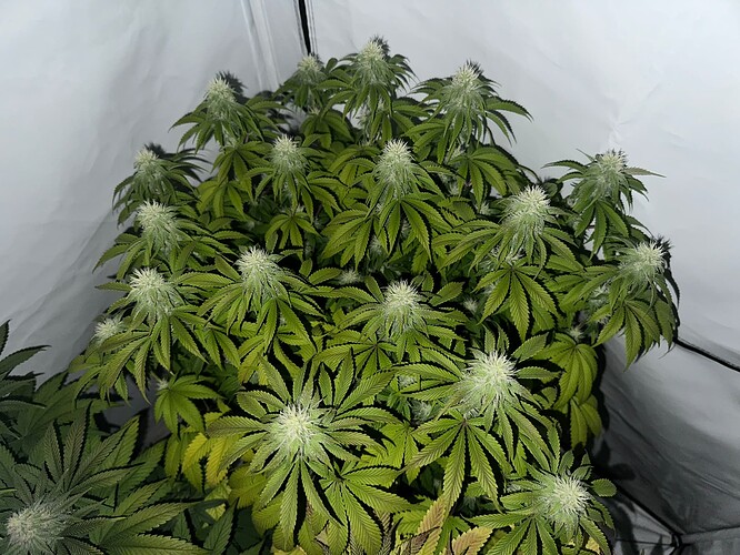 Growreport Bild 15