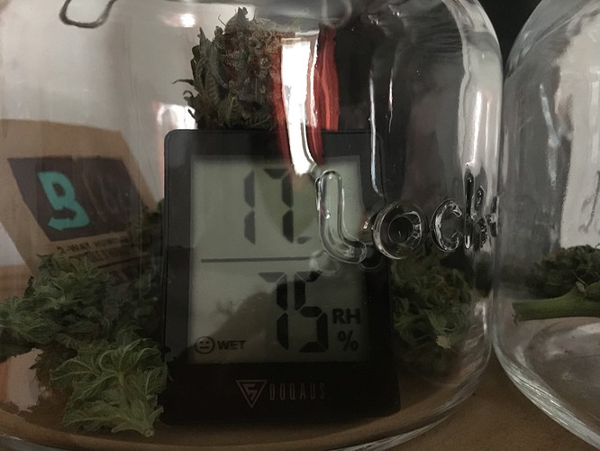 Growreport Bild 2