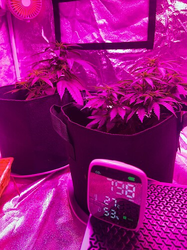 Growreport Bild 13