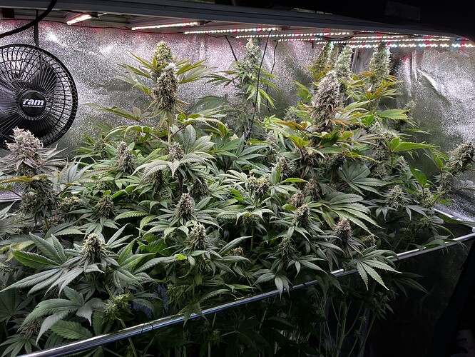 Growreport Bild 8