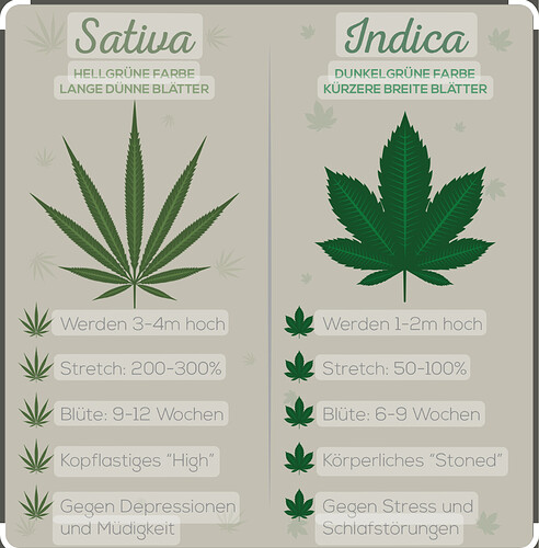 Growreport Bild 16