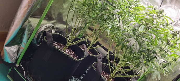 Growreport Bild 13