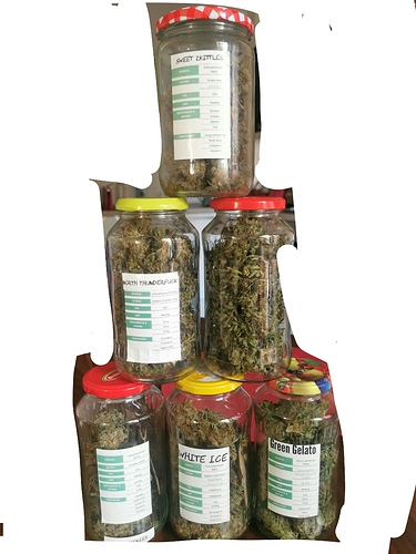 Growreport Bild 3