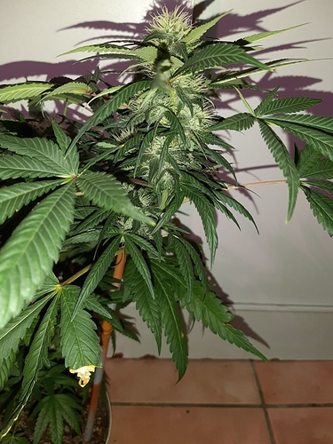 Growreport Bild 16