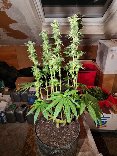 Growreport Bild 22