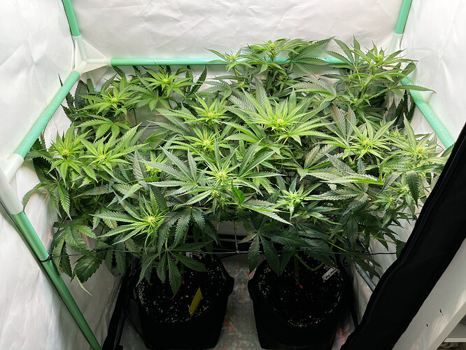 Growreport Bild 18