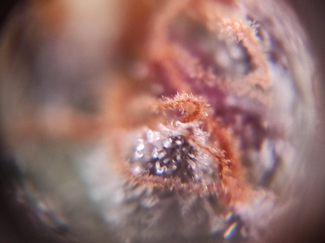 Growreport Bild 7