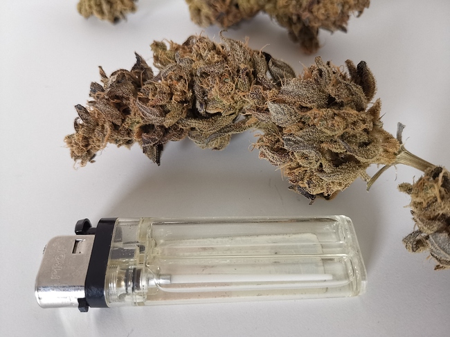 Growreport Bild 10