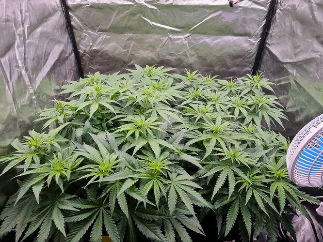 Growreport Bild 22