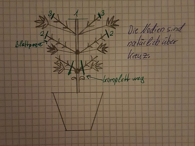 Growreport Bild 6