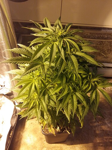 Growreport Bild 10