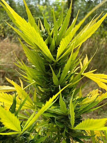 Growreport Bild 11