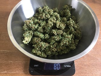 Growreport Bild 8
