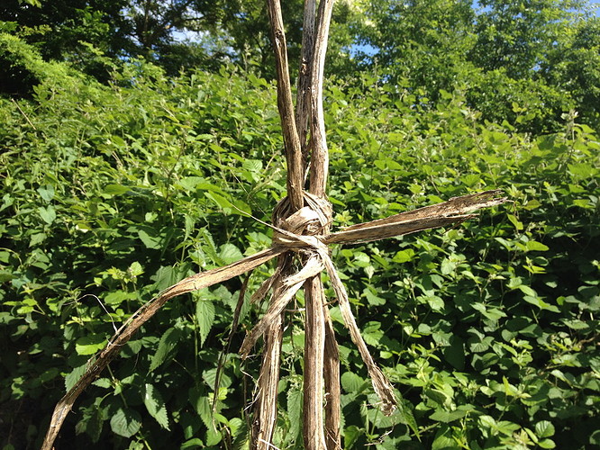 Growreport Bild 11