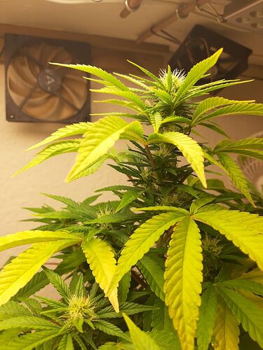 Growreport Bild 5