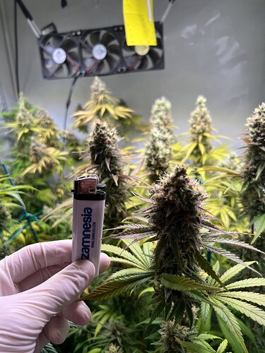 Growreport Bild 22