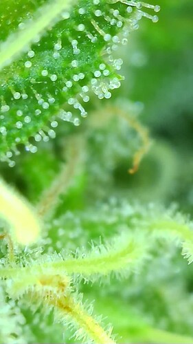 Growreport Bild 18