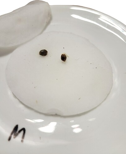 Screenshot_20231126_122135