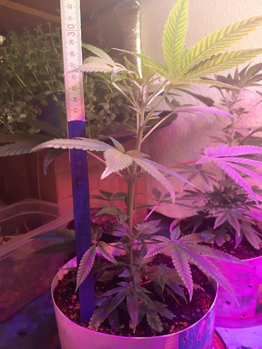 Growreport Bild 10