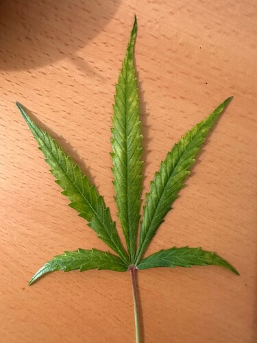 Growreport Bild 12