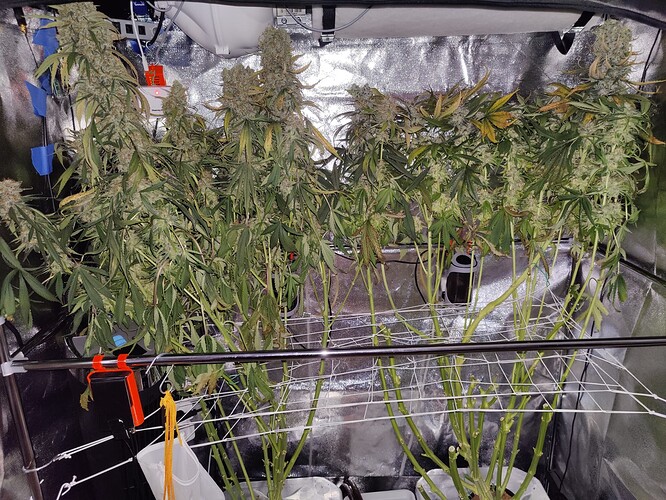 Growreport Bild 28