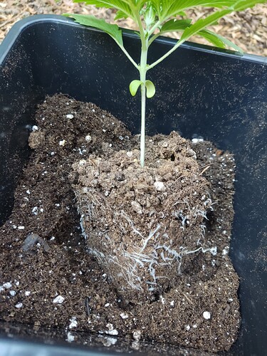 Growreport Bild 15