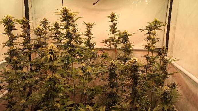 Growreport Bild 23