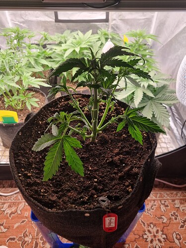Growreport Bild 20