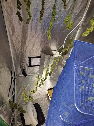 Growreport Bild 3
