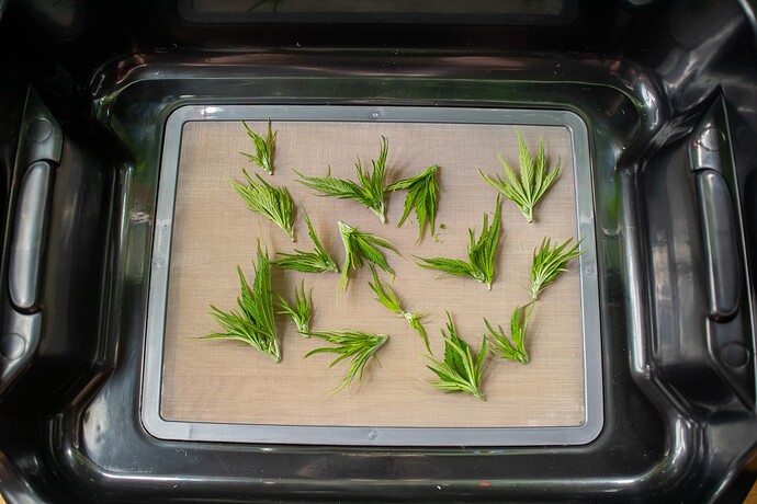 Growreport Bild 10