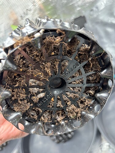 Growreport Bild 89