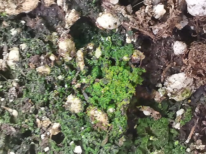 Growreport Bild 19