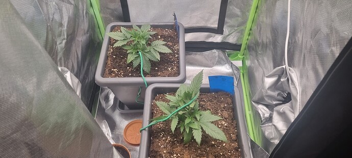 Growreport Bild 11