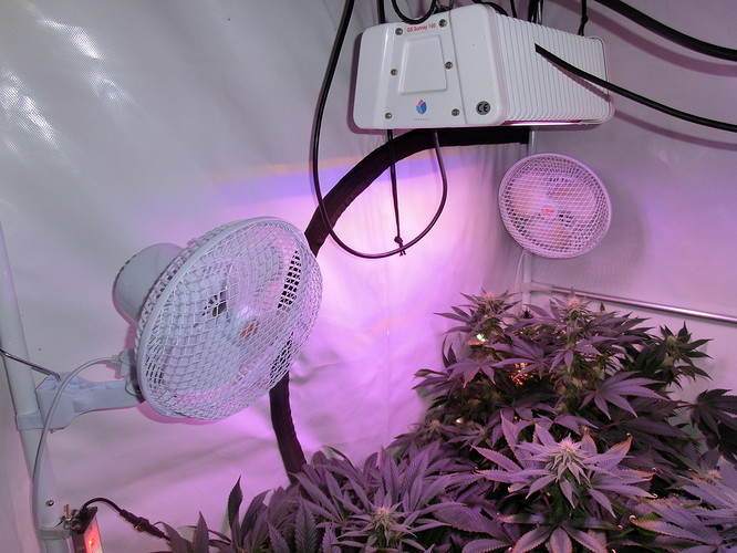 Growreport Bild 7