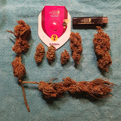 Growreport Bild 48