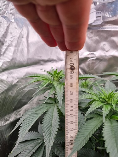 Growreport Bild 16